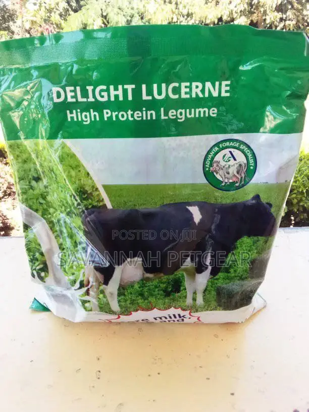 Delight Lucerne From Advanta - 1kg