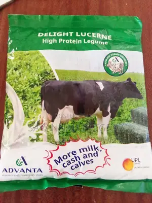 Delight Lucerne From Advanta - 1kg