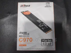 Dahua 1tb M.2 Nvme Pcie Gen4×4 SSD