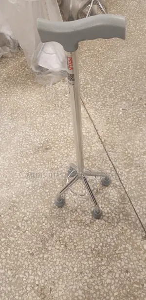 Four Legged Walking Stick
