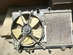 Radiator Ae 100