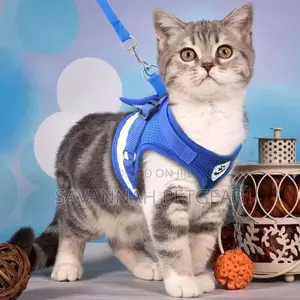 Step-in Soft Vest Cat Harness + Leash