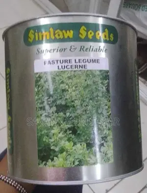 Lucerne Pasture Legume Seeds in 1kg Pack