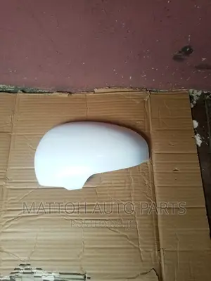 Wish/Passo Side Mirror Cover