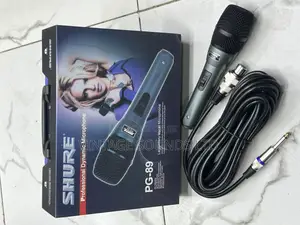 Original SHURE DYNAMICS PG89 High Microphone