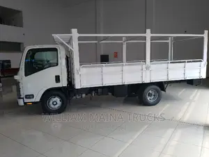 Isuzu NMR Truck