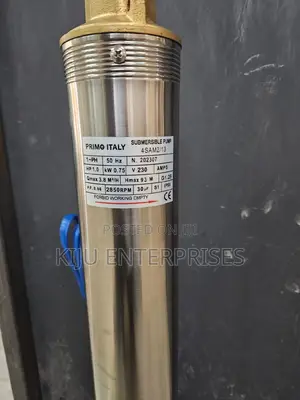 Submersible Pump Electric Machine