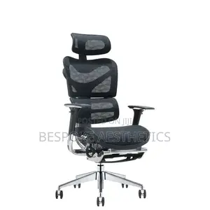 Executive Ergonomic Mesh Office Chair, With Foot Rest