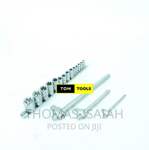 17PCS E Socket Torx Star Socket Set E4 to E24