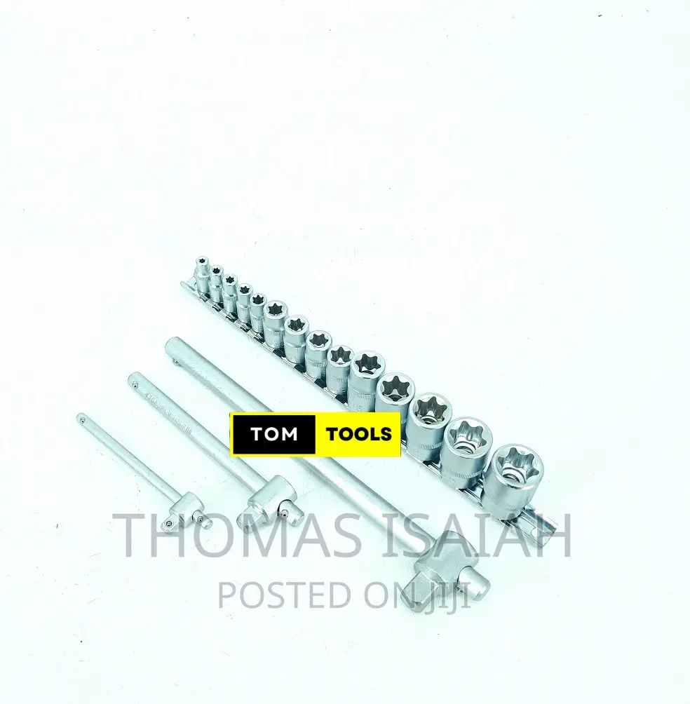 17PCS E Socket Torx Star Socket Set E4 to E24