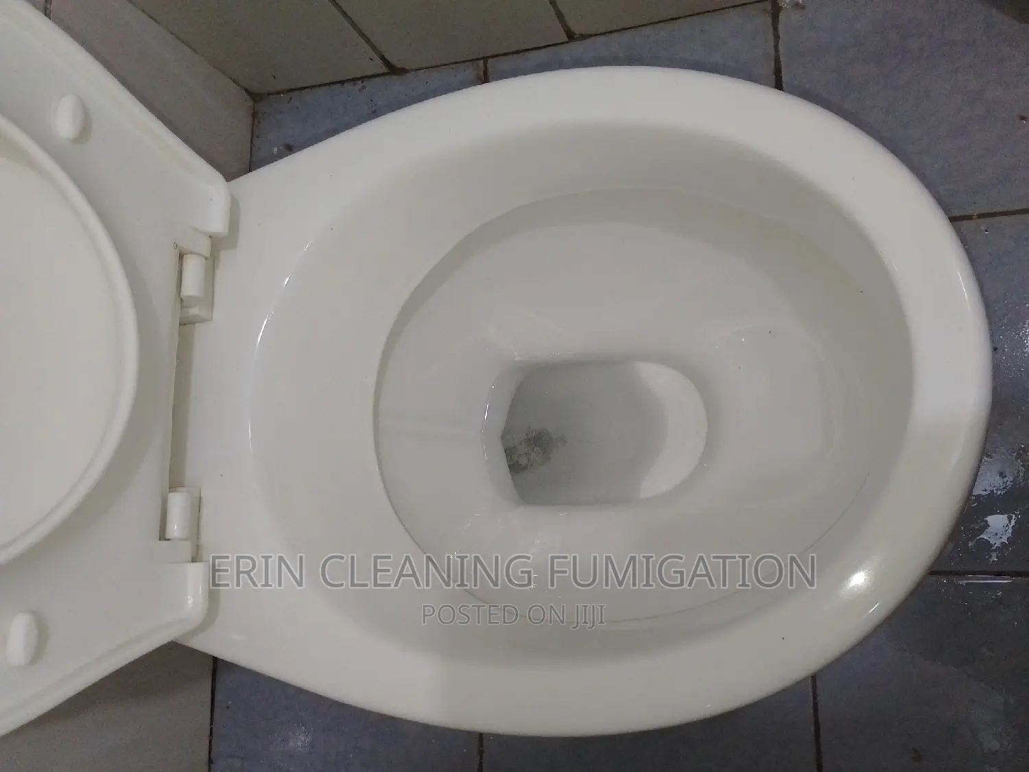Toilet Scrubbing and Stain Removing