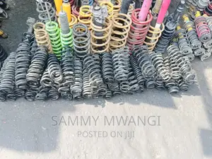 BMW Heavy Duty Coil Springs for Ex
