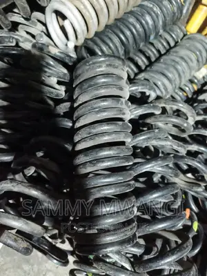 VW Coil Springs for Ground Clearance for Ex Germany
