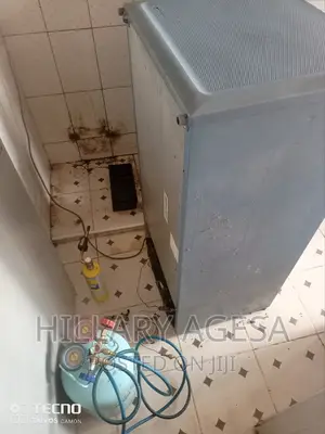 Fridge Gas Refilll and Filter Change