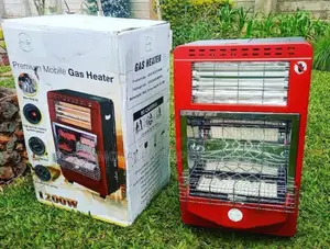Luxurious Infrared Radiant Indoor Gas Heater