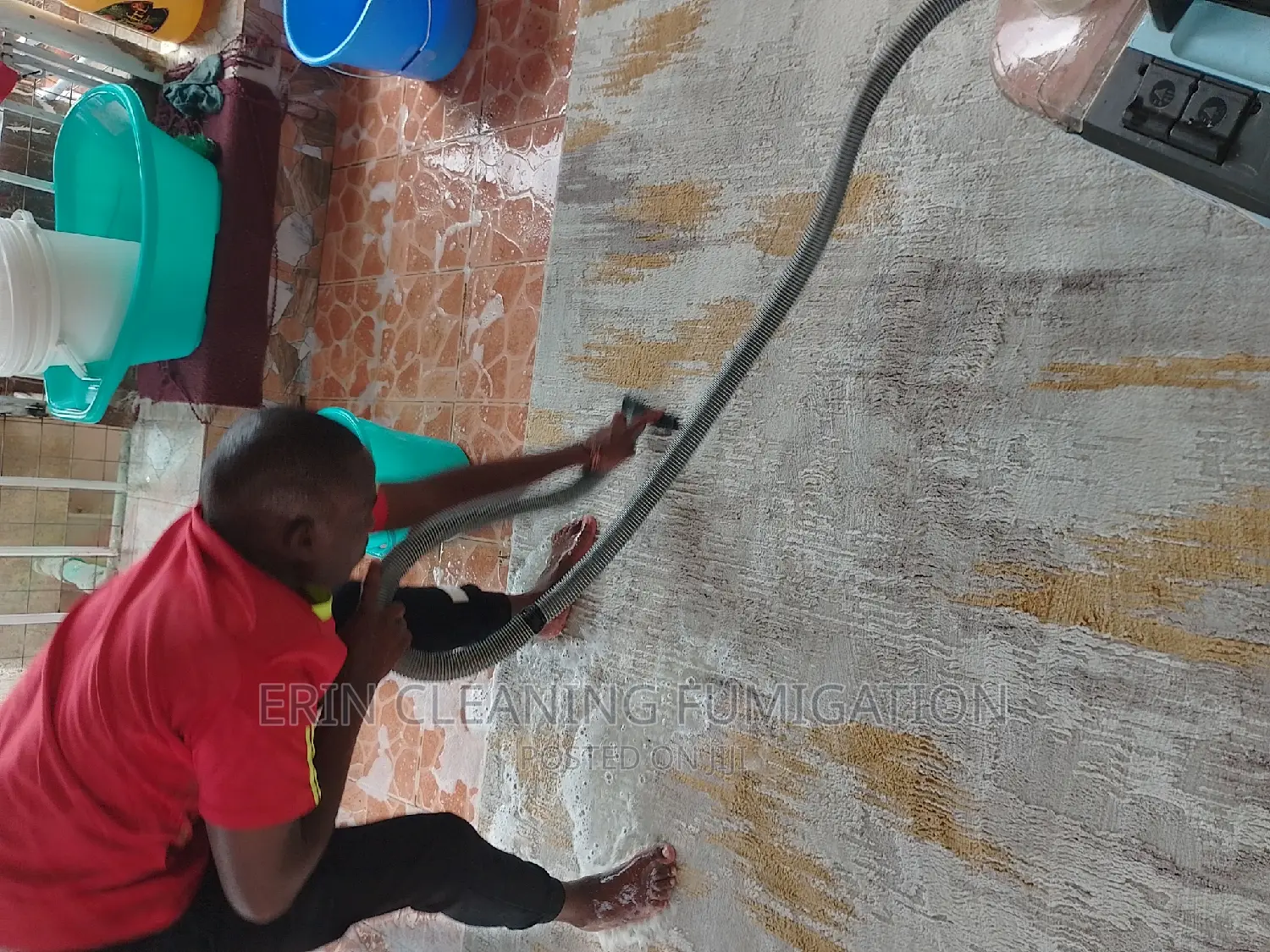 Affordable Carpet and Pest in Cleaning Services