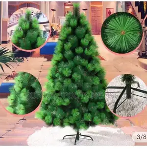 Christmas Tree/Pine Shaped