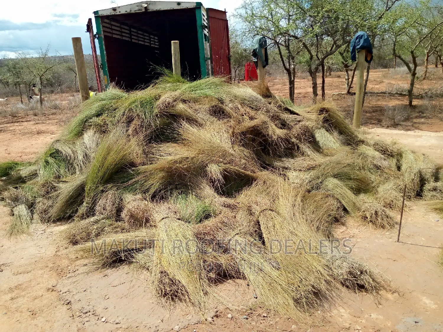Thatching Grass Now Available