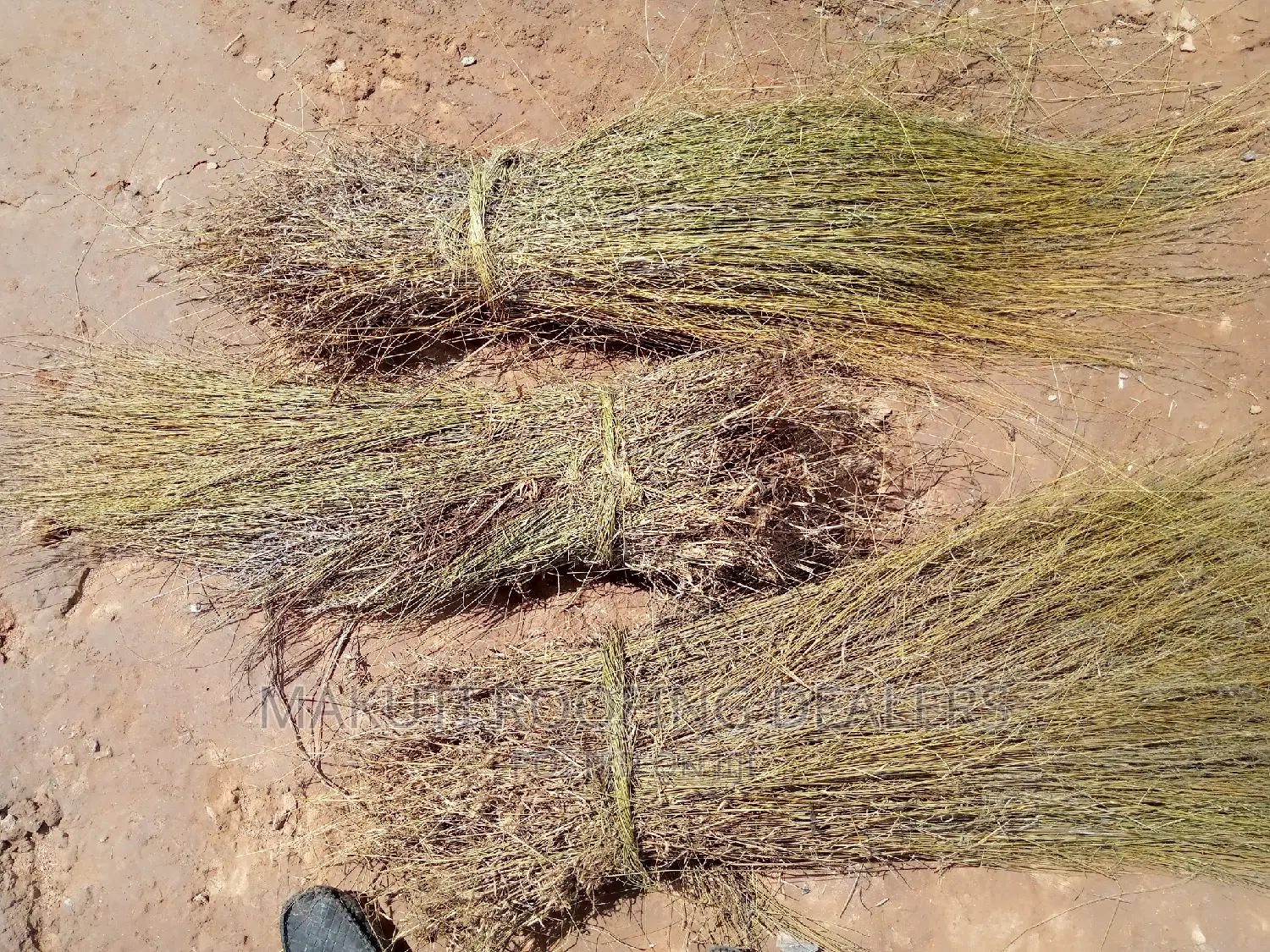 Thatching Grass Now Available