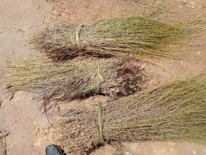 Thatching Grass Now Available