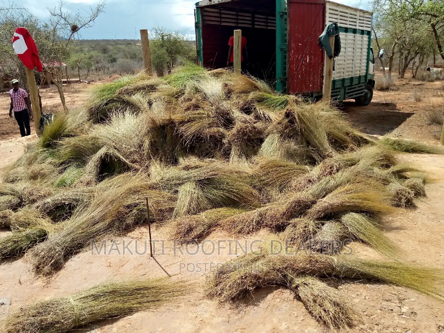 Thatching Grass Now Available