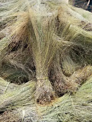 Thatching Grass Now Available