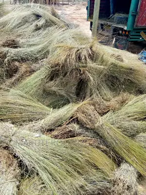 Thatching Grass Now Available