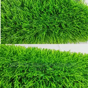 Grass Carpets Grass Carpets Grass Carpets Grass Carpets