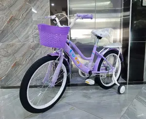 Large Size Kids Bike/Luta Girl Bike Size 20 Available