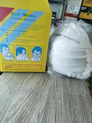 Disposable Dust Masks