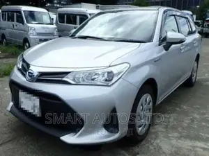 Toyota Corolla Fielder 2018 Silver