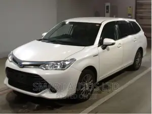 Toyota Corolla Fielder 2016 Silver