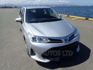 Toyota Corolla Fielder 2018 Silver