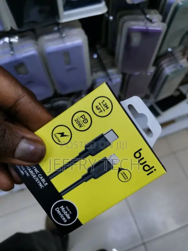 Budi 2.4A 1M USB-C to Lightning Cable