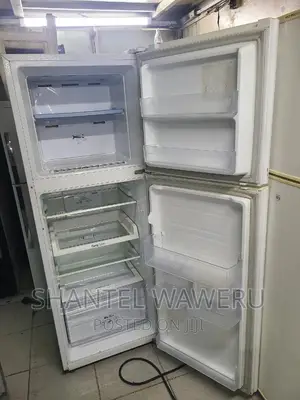 Samsung Digital Inverter Fridge. Power Saving Fridge