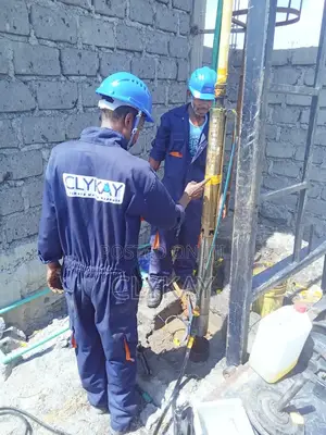 Borehole Pump and Pump Lowering and Installation Services
