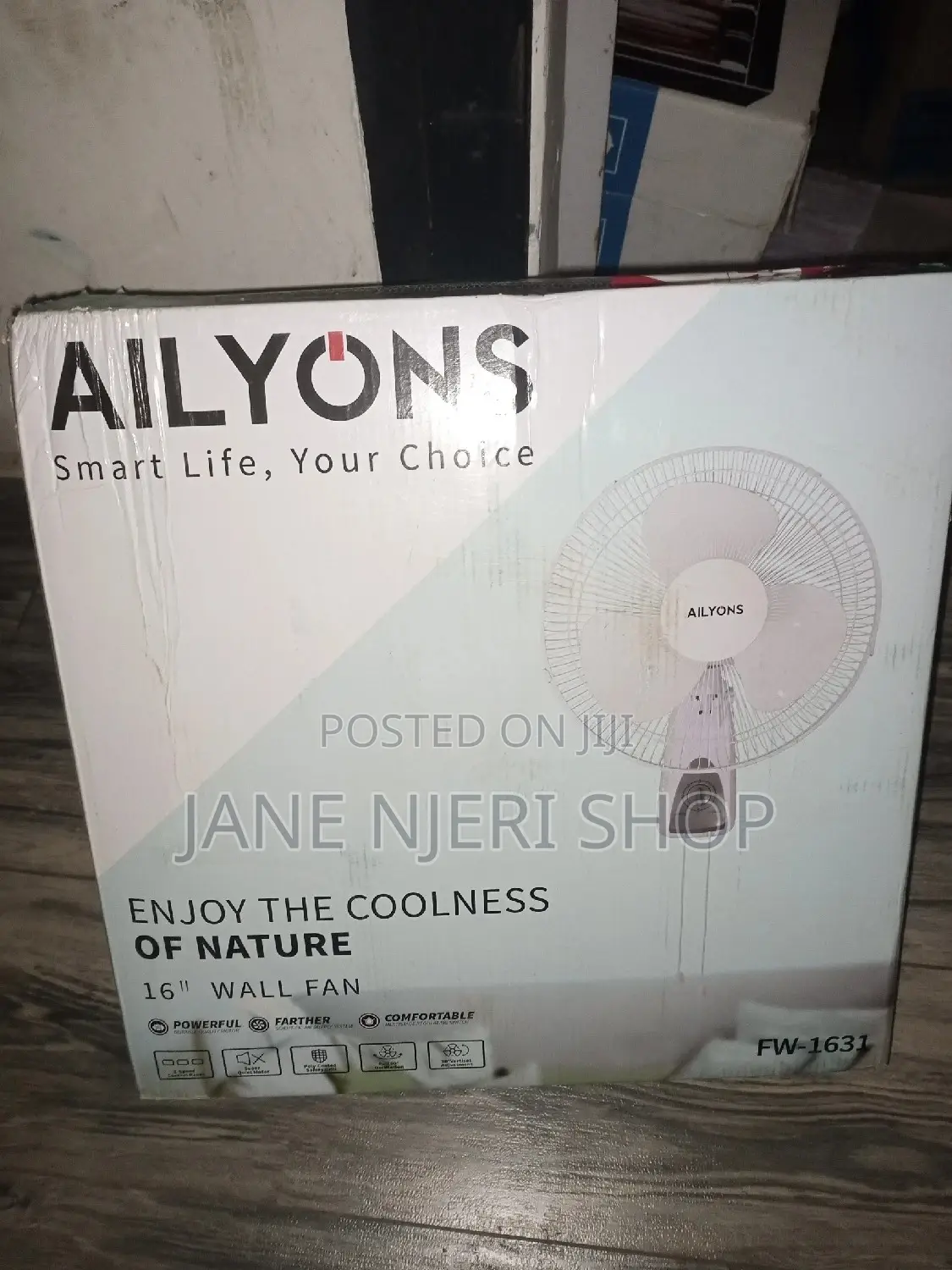 Aliyons Wall Fan