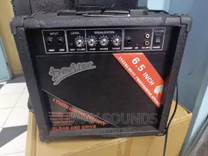 Electric Guitar Combo Amp