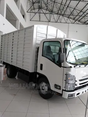 Isuzu NMR Truck
