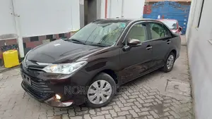 Toyota Axio 2017 Brown