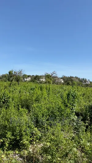 Galu Quarter Acre Plots
