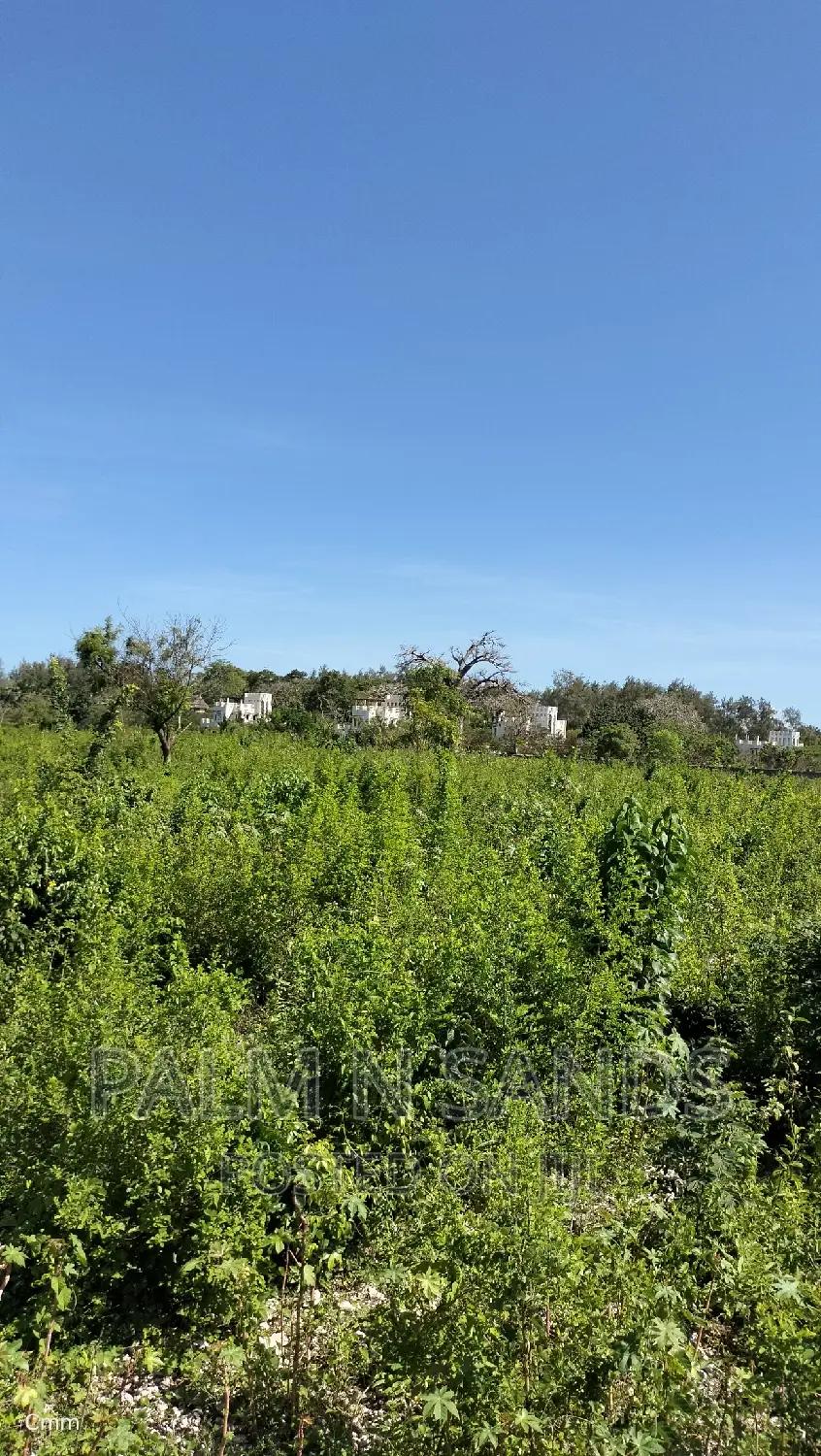 Galu Quarter Acre Plots