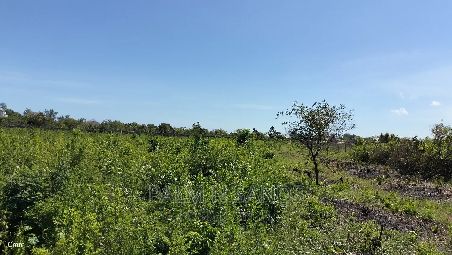 Galu Quarter Acre Plots