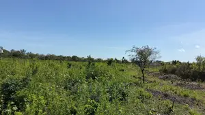 Galu Quarter Acre Plots