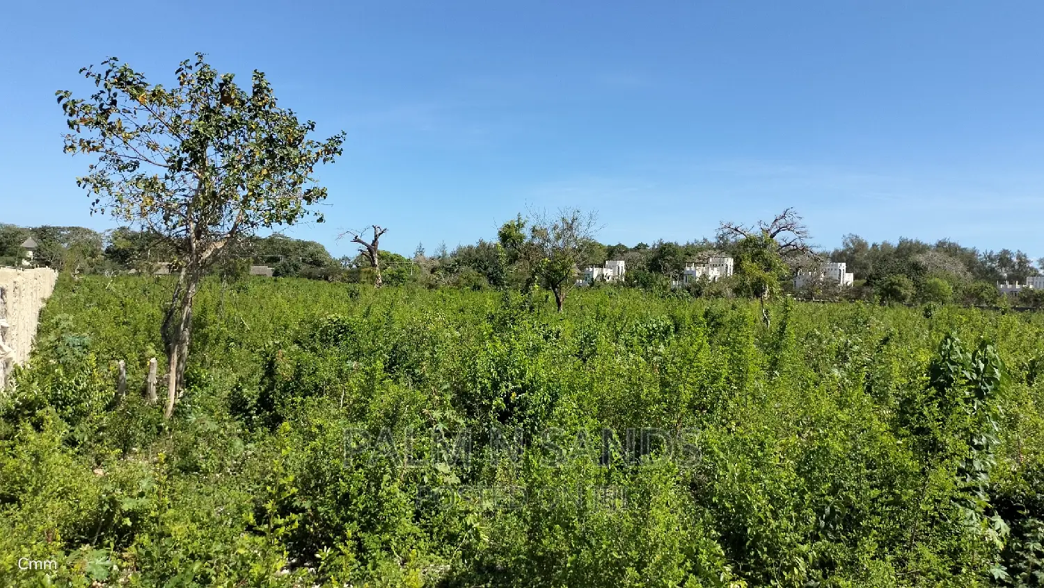 Galu Quarter Acre Plots