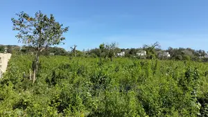 Galu Quarter Acre Plots