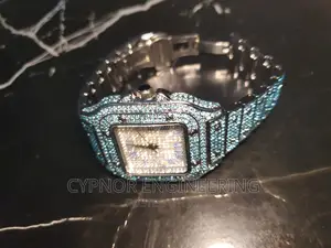 Elegant Watch