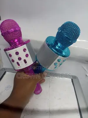 Karaoke Microphone