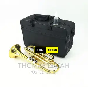 Suzuki Professional B♭ B-Flat Cornet, Gold Lacquer in Hard C