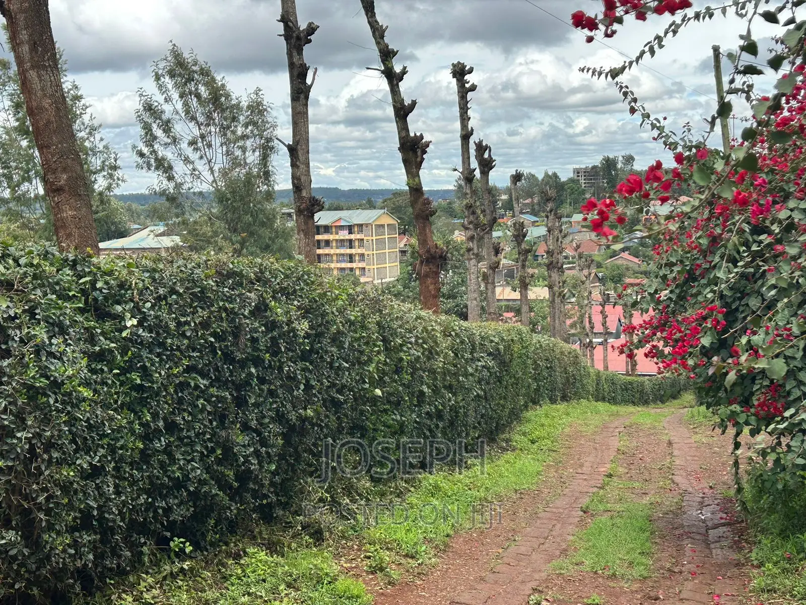 Ngong 1/2acre Redsoil